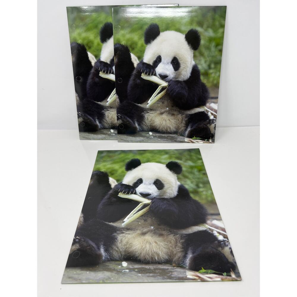 Panda Bear Presentation File Folders Set of 3 NEW